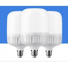 led燈泡